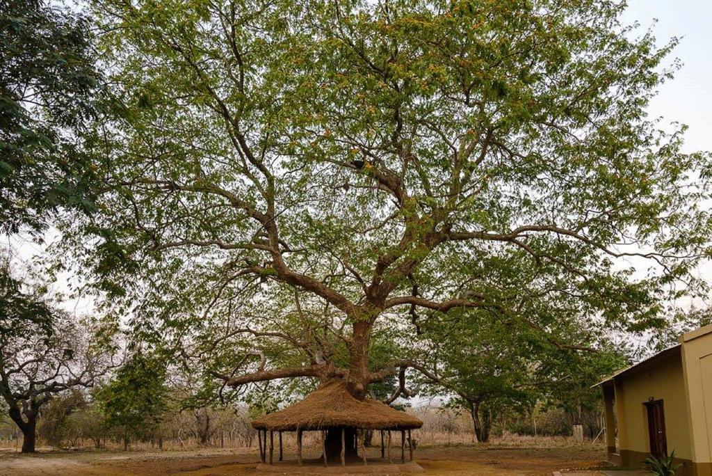 Montebelo Gorongosa Lodge & Safari Mtindiri Bagian luar foto